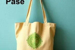 Bolsa Família