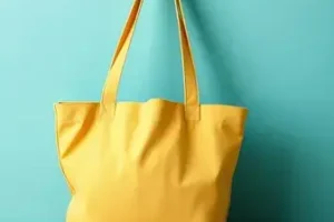 Bolsa Família e Tarifa Social