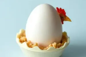 galinha chocar o ovo